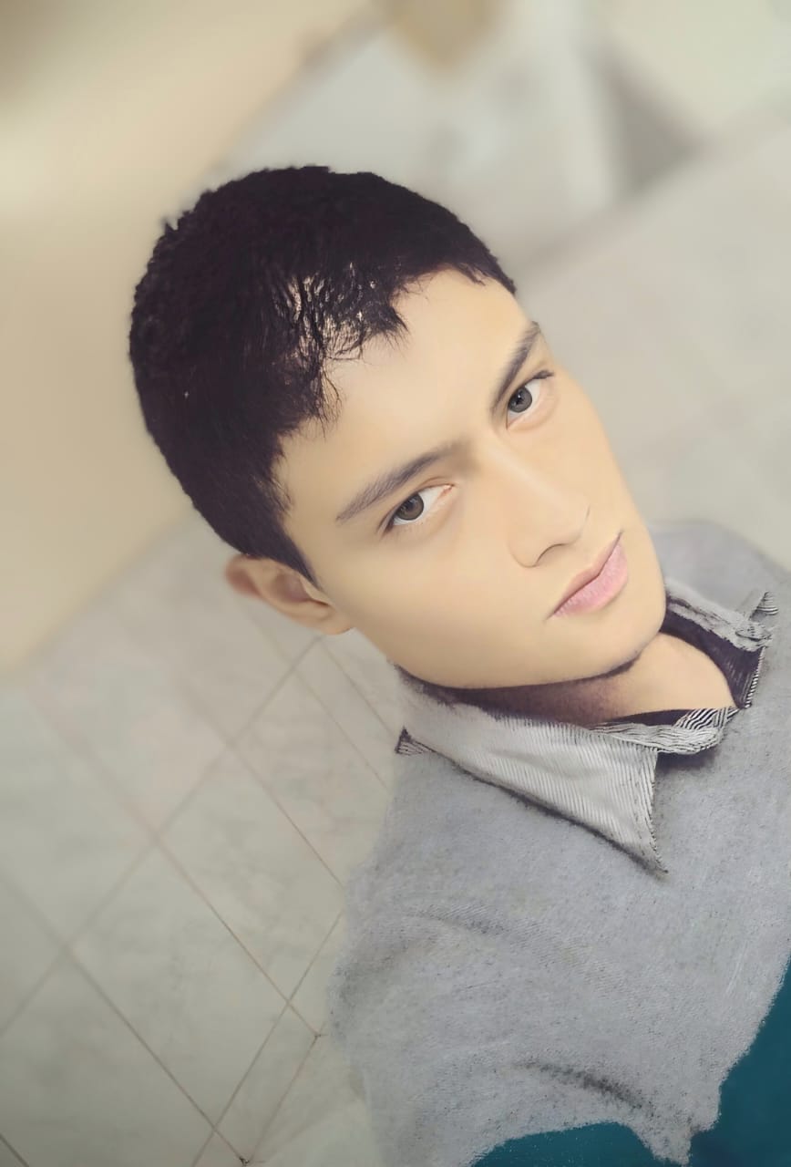 Mijail Denis Zavala Llanco